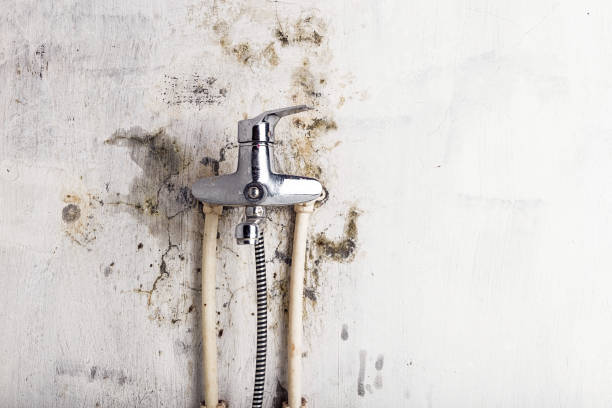 Certified Mold Removal in Peabody, MA