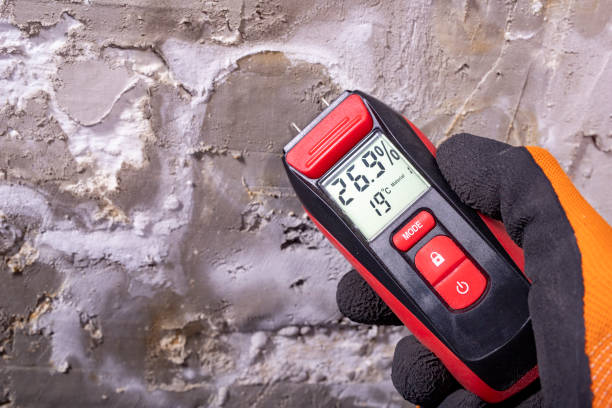 Best Office Mold Removal Services  in Peabody, MA
