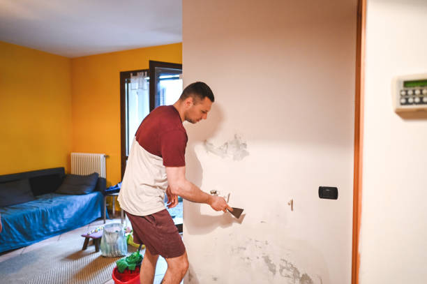 Best Commercial Mold Removal  in Peabody, MA